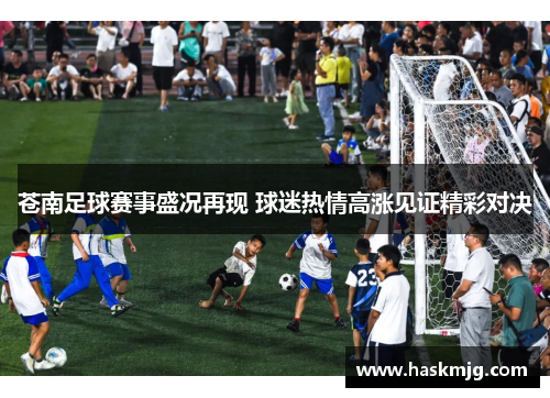 苍南足球赛事盛况再现 球迷热情高涨见证精彩对决